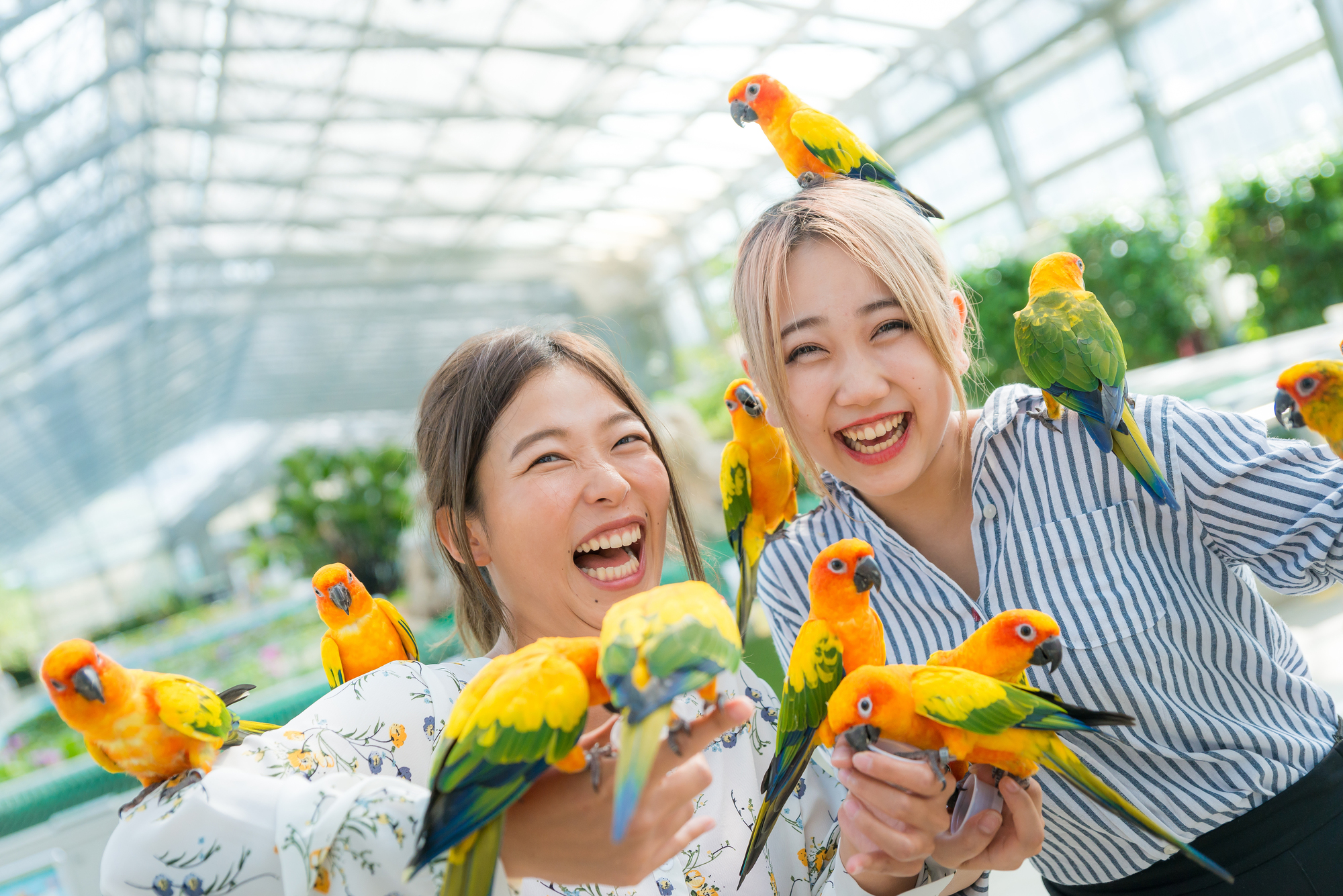10/12〜11/24 掛川花鳥園「KKE Unusual Plants Fes 2019」 | [ そら