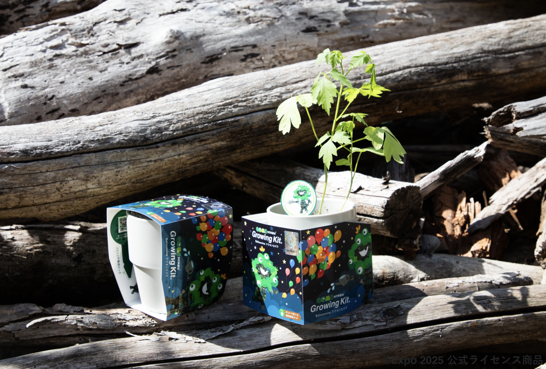 EXPO 2025 ミャクミャク植物栽培キットが発売！ | [ そら広場 ] 西畠